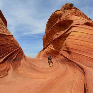 Meet your Posher, Albert